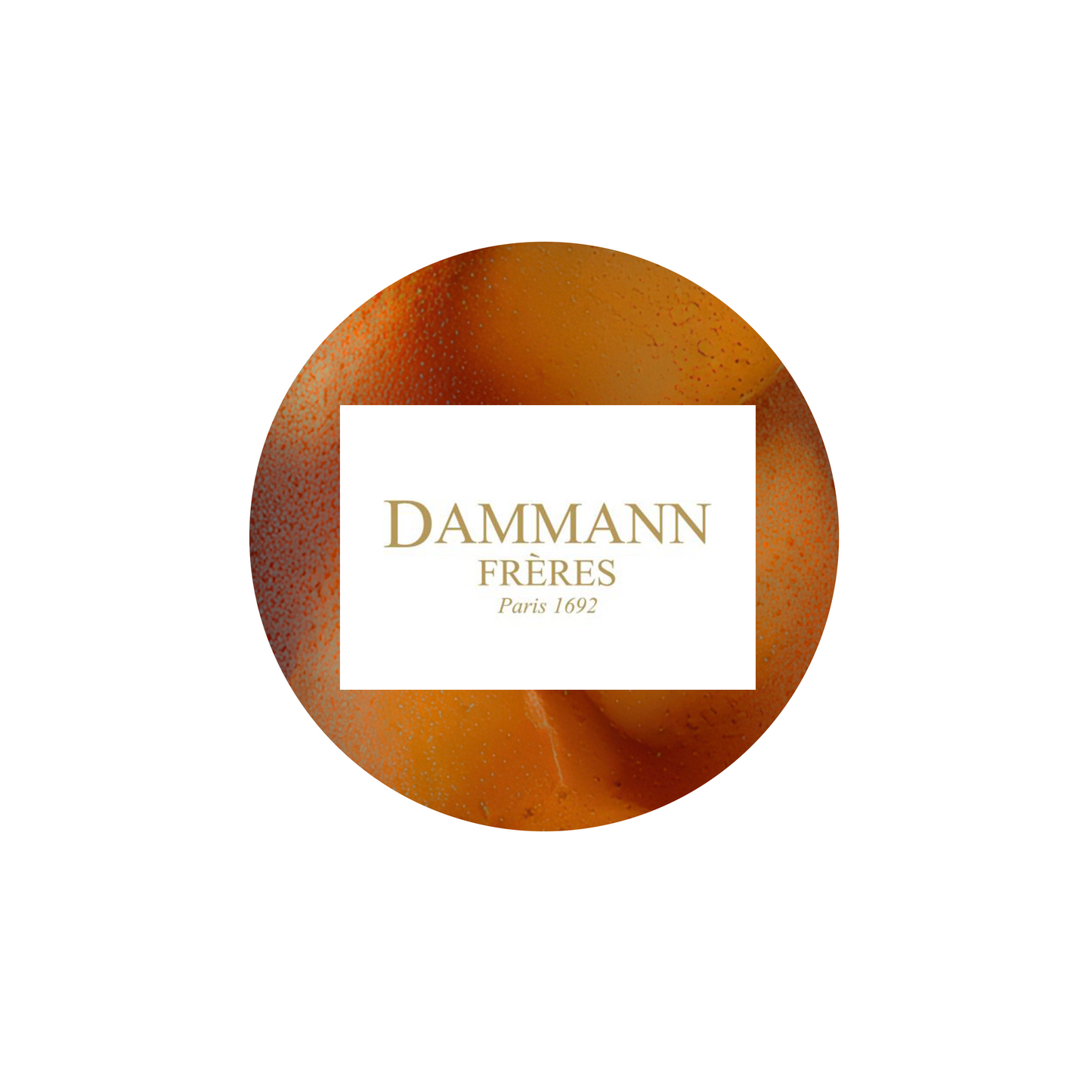 Dammann China Black Iced Tea 30/3.5 oz.