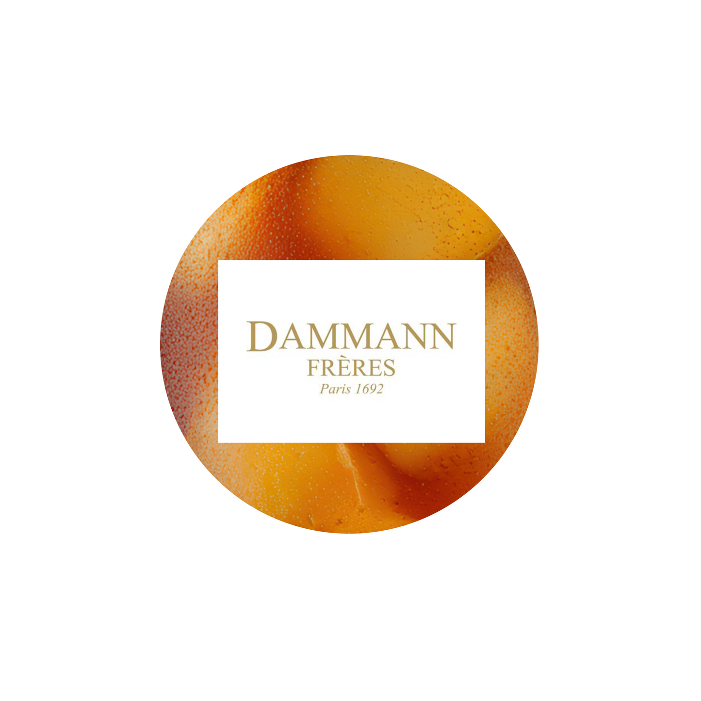 Dammann Tropical Blend Iced Tea 30/3.5 oz.