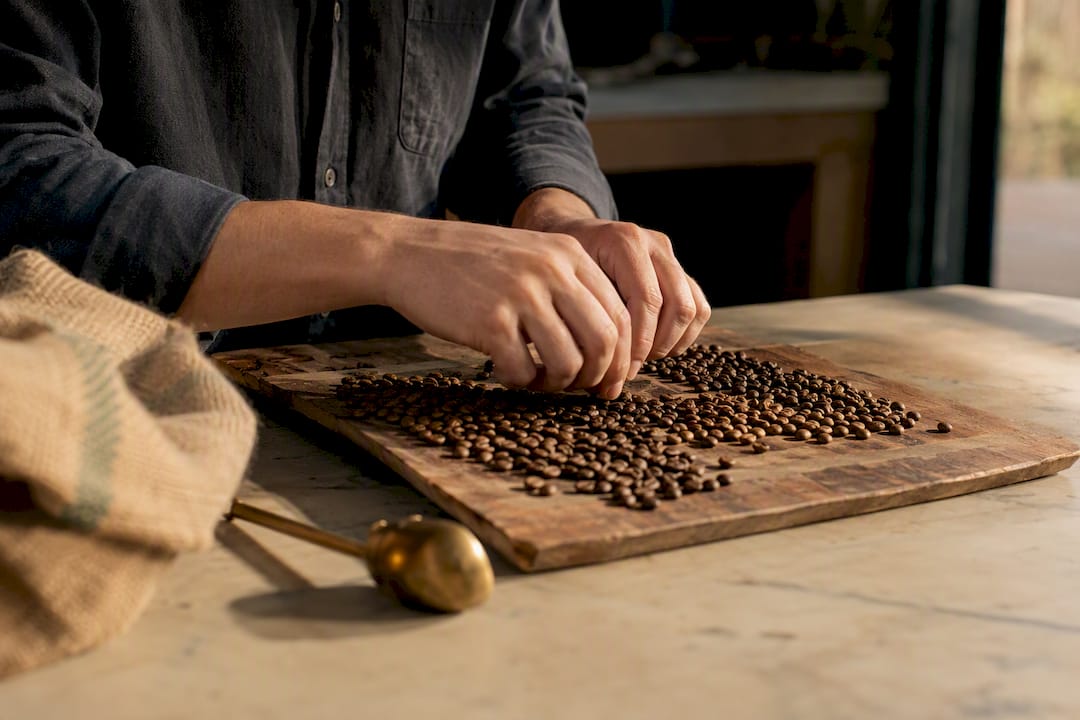 Hands inspecting coffee beans on plate