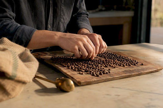 Hands inspecting coffee beans on plate